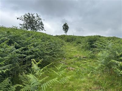 Picture 22